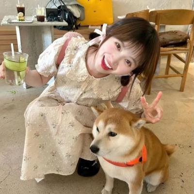 如何与我的猫分手